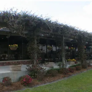 Quail Run 2* Savannah